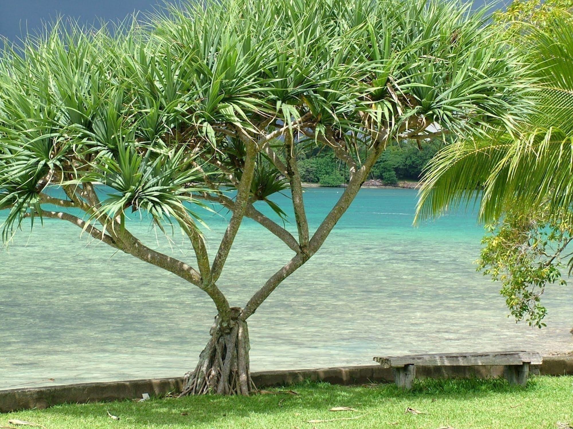 Pacific Lagoon Apartments Port Vila Exterior photo